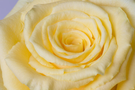 1703541 (a): :3000x1999